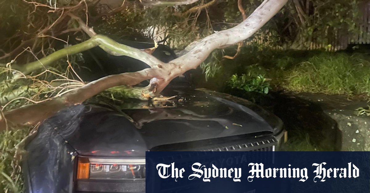 Woman missing in floodwaters as wild weather rips across NSW