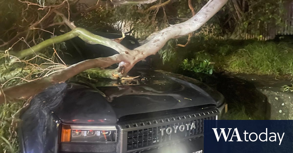 Chinese tourist missing in floodwaters as wild weather rips across NSW