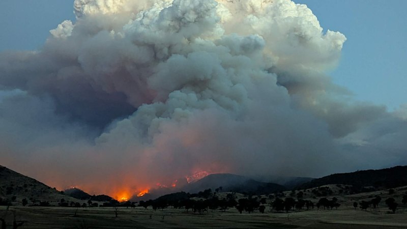 Fears blaze will jump Victorian border as fire bans declared across NSW