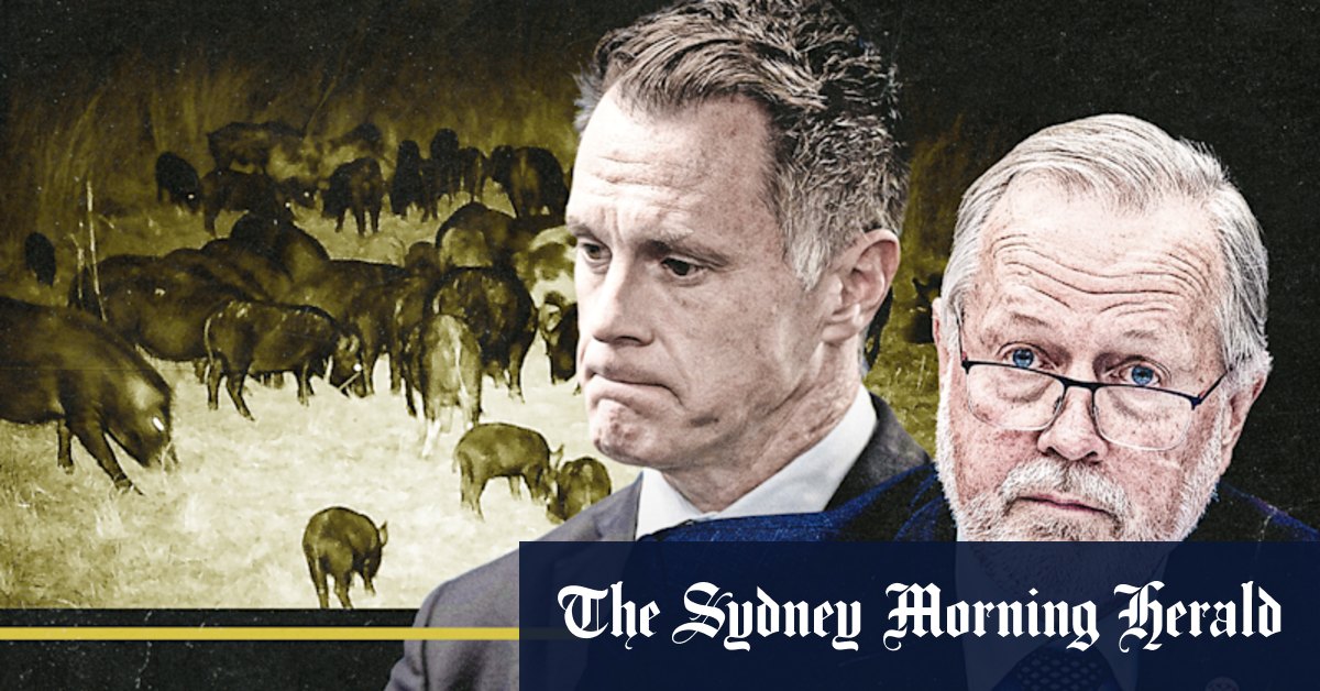 Revealed: Areas that will be open for hunting in NSW under divisive laws