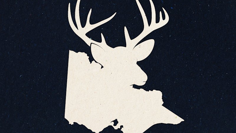 Farmers’ campaign against feral deer trapped in Victoria’s red tape