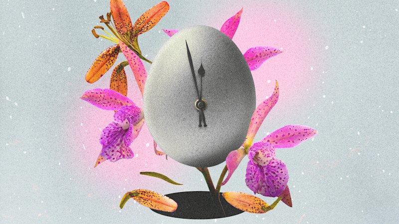 High Court opens door to prisoner’s egg freezing