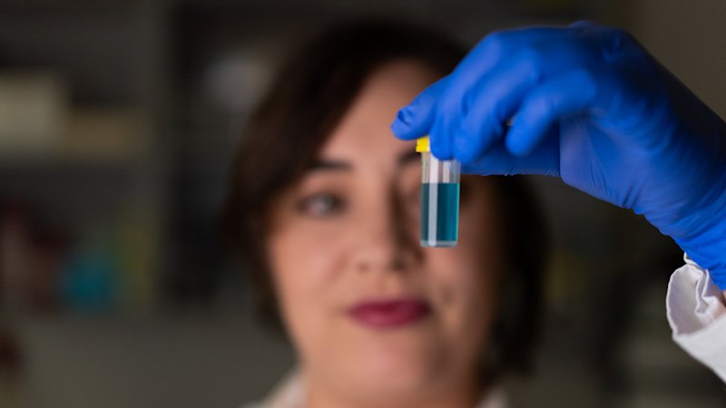 PFAS pollution lowers sperm count in mice, alters their embryos: study