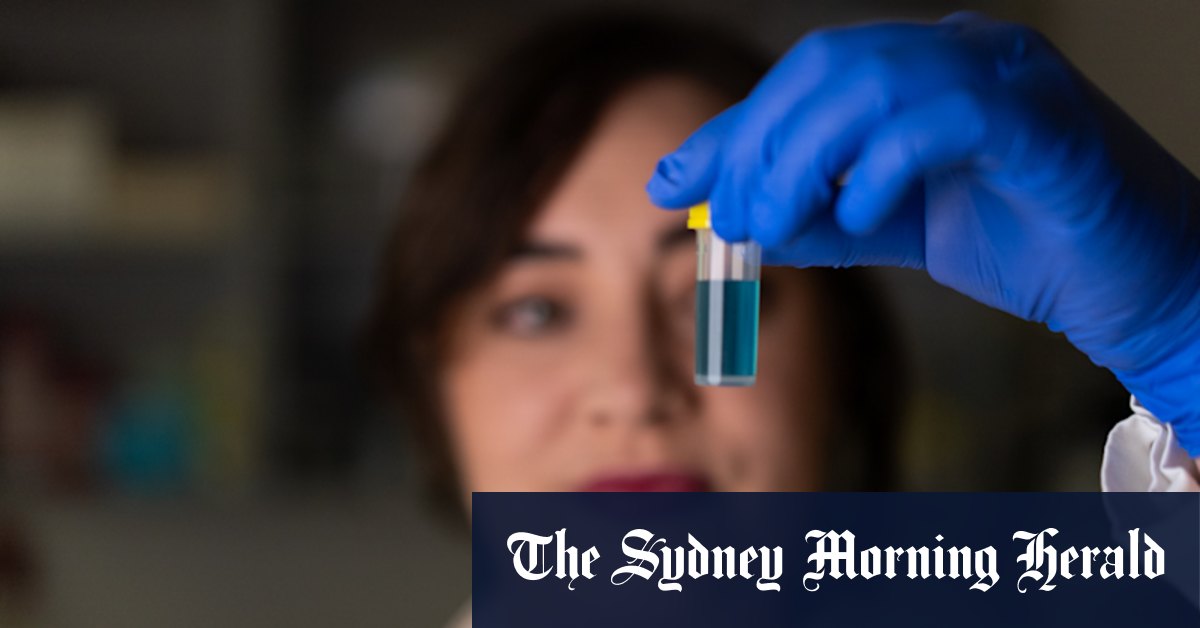 Australian study finds forever chemicals disrupt hormones and sperm counts in mice