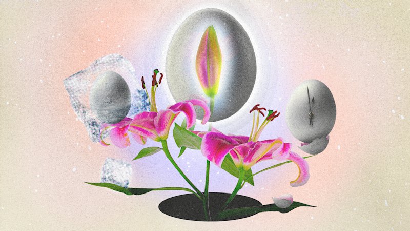 Editorial features explore the “pre-pregnancy” world for people trying to conceive