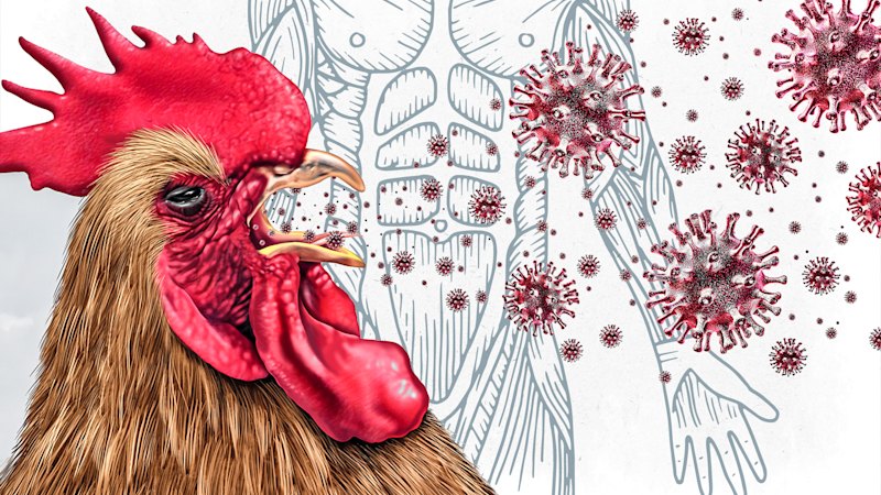 The number of infections that could make or break the next bird flu pandemic