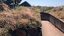 Sabi Sabi south africa safari bush lodge
