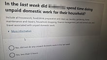 A screenshot of the census question about unpaid domestic labour.