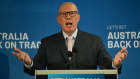 Opposition Leader Peter Dutton.
