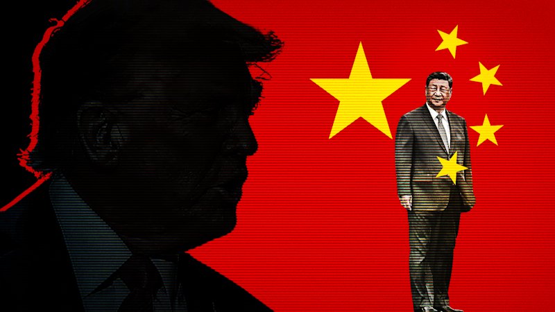 ‘I probably don’t want to leave’: Trump gushes over China during tiptoe among the trees