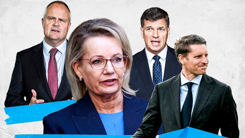 Incumbent, scholar, new challenger or dark horse: Who could be leading the Liberals in 2028?