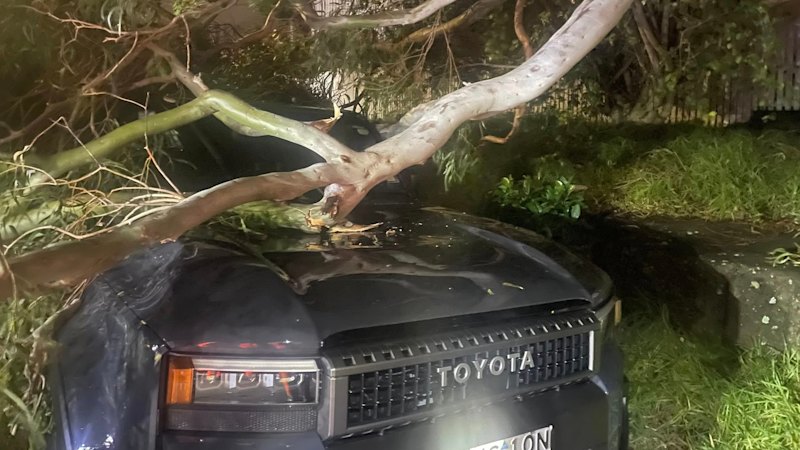 Woman missing in floodwaters as wild weather rips across NSW