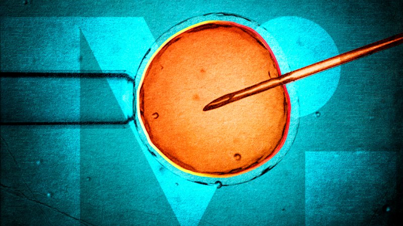 How the most human of errors led to a woman giving birth to a stranger’s baby