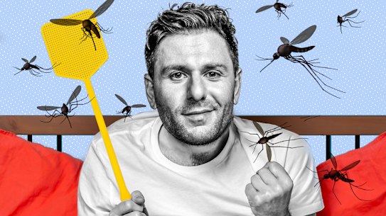 Merry Christmas to everyone except the mosquito terrorising me every night.