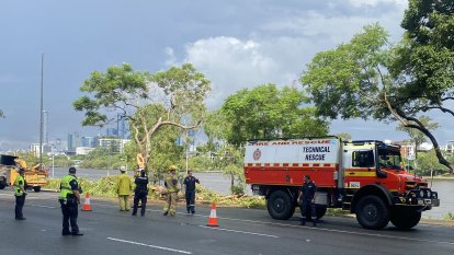 Woman rushed to hospital after tree lands on car in Brisbane