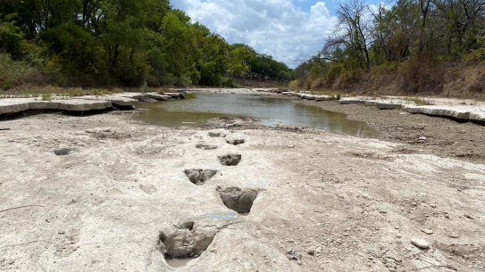 Severe drought conditions exposed dinosaur tracks from around 113 million years ago, in the Dinosaur Valley State Park, Glen Rose, Texas. 