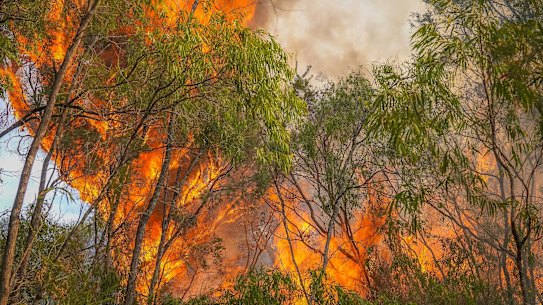Incêndios florestais em Dunsborough, fevereiro de 2025. Bombeiros genéricos de WA