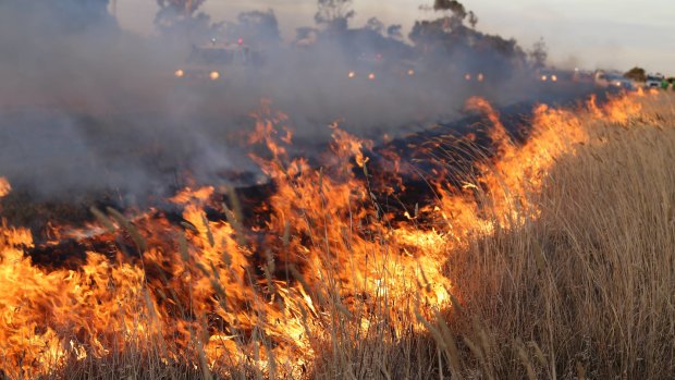 Victoria braces for worst fire conditions since Black Summer bushfires