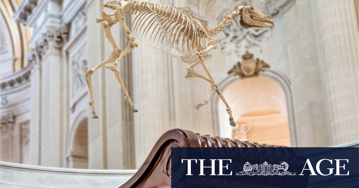 Historians appalled at plastic skeleton of Napoleon's horse over his tomb - Vimarsana News