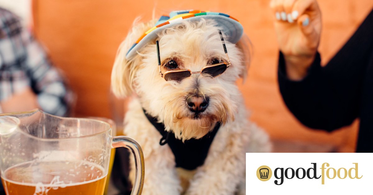 10 of Sydney's best dog-friendly pubs - Vimarsana News
