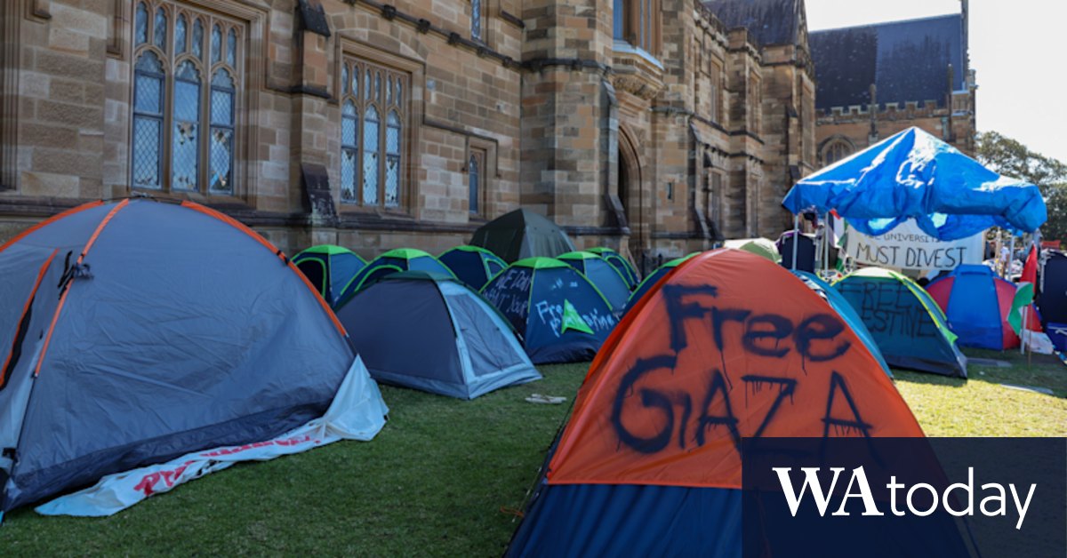 Israel war: Pro-Palestine university camps grow at universities - Vimarsana News