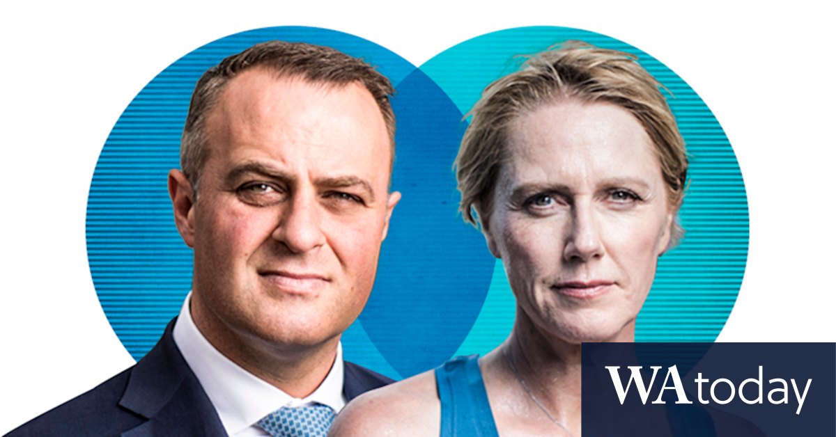 Tim Wilson locks in Goldstein rematch against Zoe Daniel after preselection win - Vimarsana News