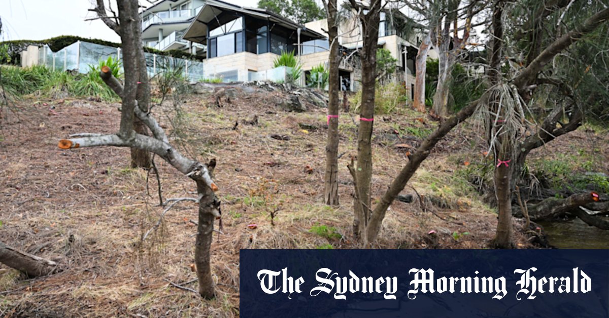 Put tree vandals in a place where the views aren't so nice - Vimarsana News