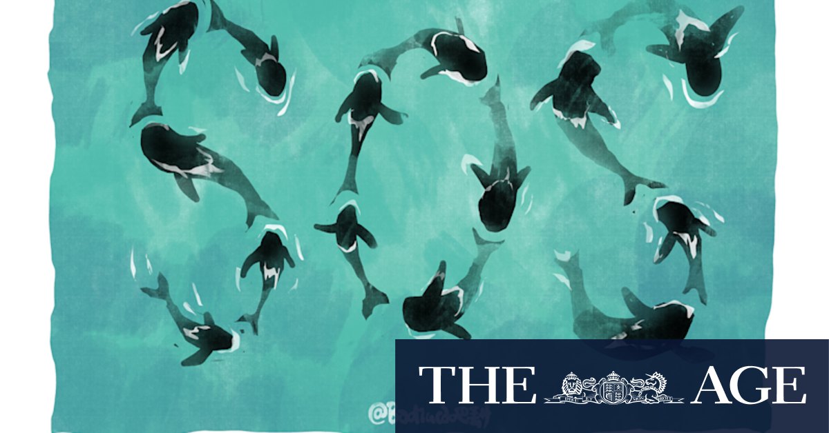 Ensuring supply meets community demand - Vimarsana News