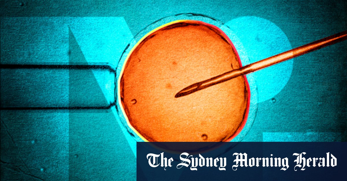 Victoria has had a new IVF watchdog for six months. So far, it has not taken any action