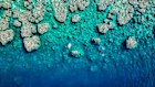 AI is capable of analysing and categorising the images collected at a rate five times faster than a human.