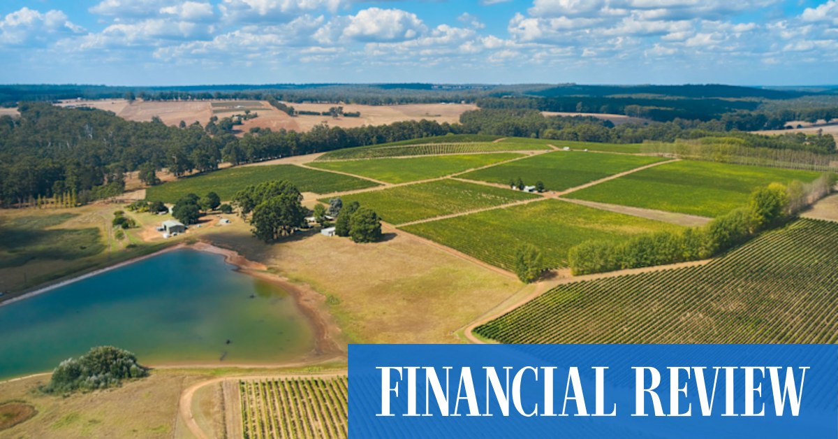 Smithbrook, Amadeus vineyards snapped up by Warakirri for $22m - Vimarsana News