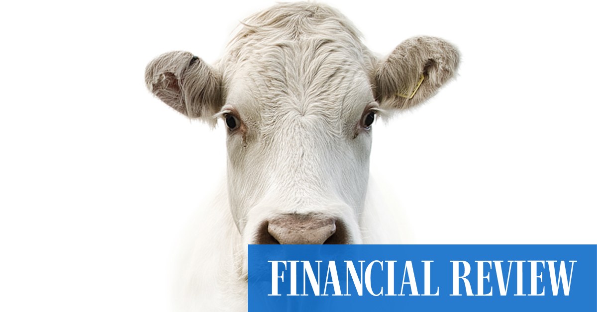 Gary Paykel-backed NZ biotech launches capital raise; Ords on ticket - Vimarsana News