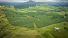 Mackay Farming Group includes nine farms spanning almost 5,900ha