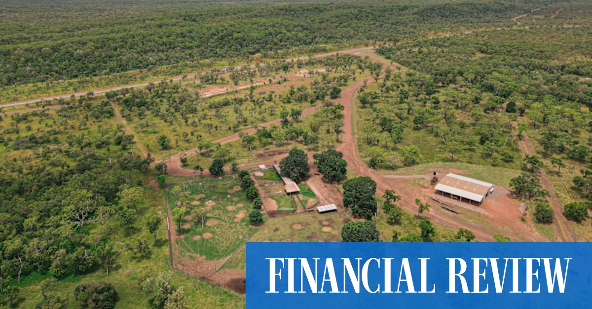 Buffalo meat on the menu at NT's Annaburroo Station - Vimarsana News