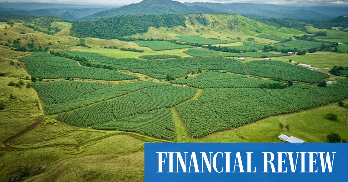 Agricultural property: Australia's biggest grower up for sale for $180m - Vimarsana News