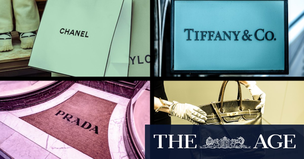 空箱　CHANEL, PRADA, HERMES 、Tiffany 👜 Jessie's Preloved Pics of the Week 🌵 Chanel, Hermes