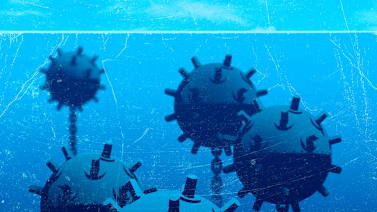 Our vaccine hesitancy led us into another minefield.