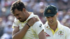 Mitchell Starc was injured diving for a ball.