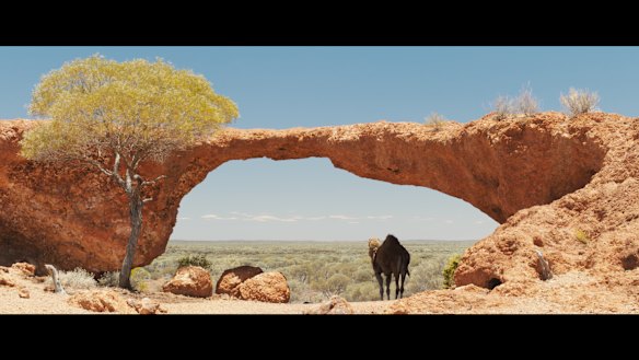 It's a challenging road ahead. 