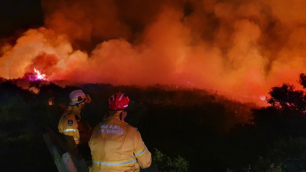 Firefighters at the scene of the blaze at North Head overnight.