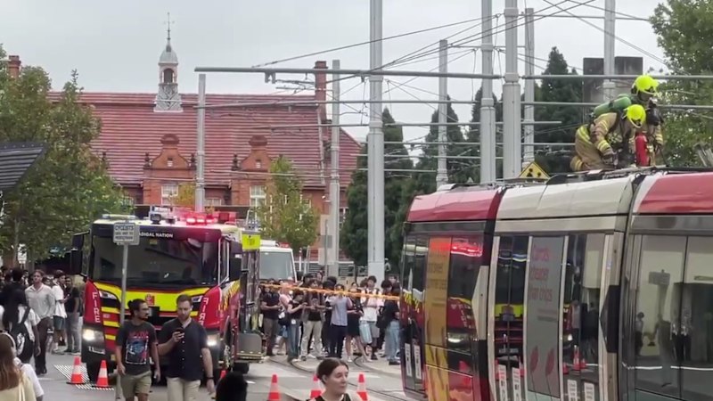 Tram fire forces services to stop on Sydney light rail lines for hours