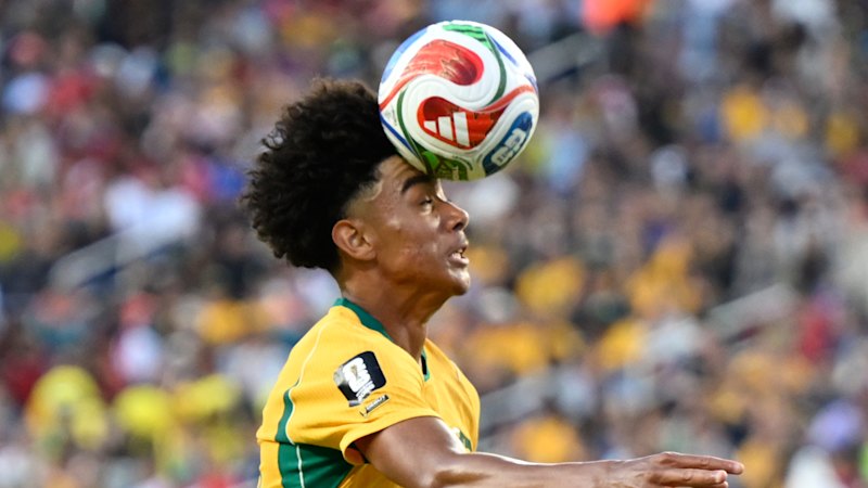 The Socceroo stuff-up that will cost an A-League club millions (australia) — SMH