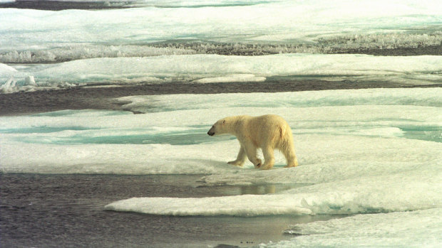 The Western Arctic is one of the fastest-warming regions in the world and is seen as an early indicator of global climate change. 