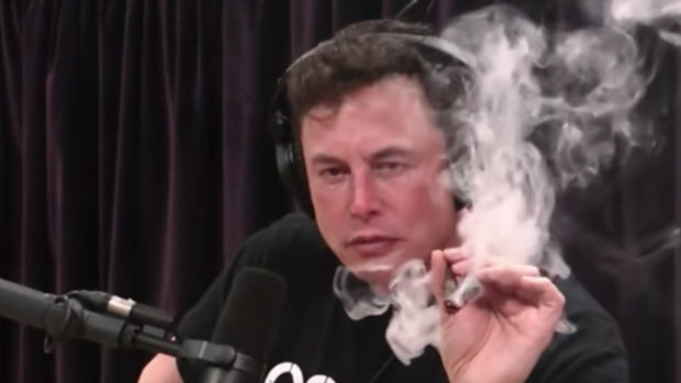 The alpha male opposite: Telstra billionaire Elon Musk's during his potcast. 