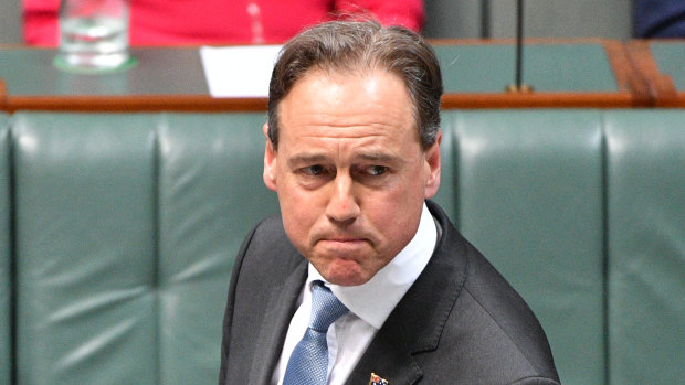 Federal Health Minister and Flinders MP Greg Hunt.