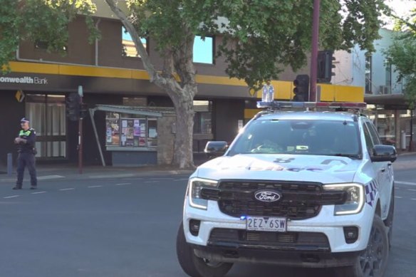 Police arrested a man in Wangaratta after Helen Haines was struck by a vehicle.