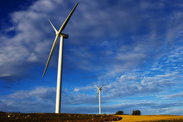 Senators Fraser Anning and David Leyonhjelm said renewable energy subsidies were responsible for rising prices. 