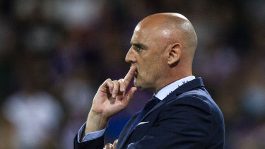 Kevin Muscat must finish his UEFA Pro Licence before taking charge of Sint-Truiden.