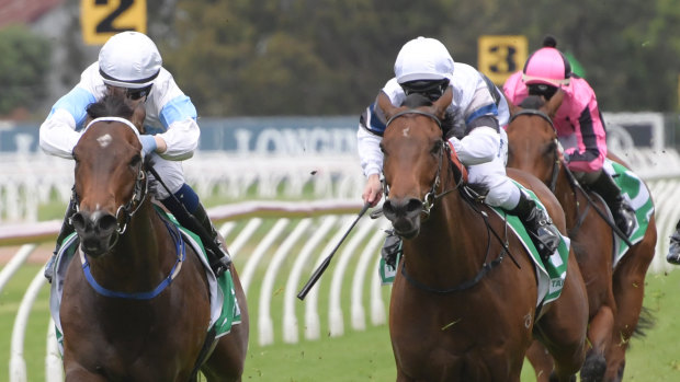 Yousay Bolt, right, just missed in a Highway at Rosehill in November and is the on-top selection in Race 5. 