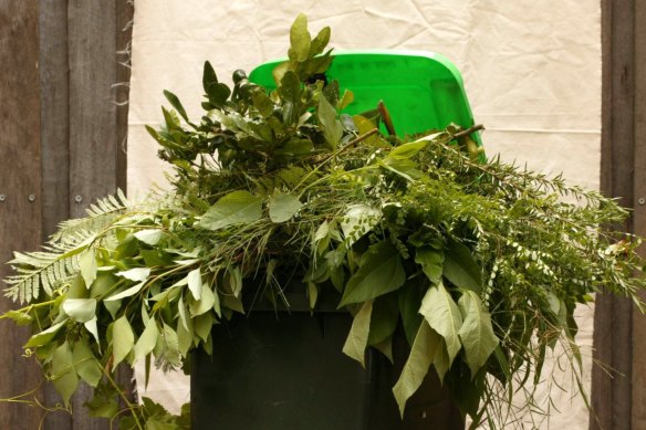 Green Bin Offenders